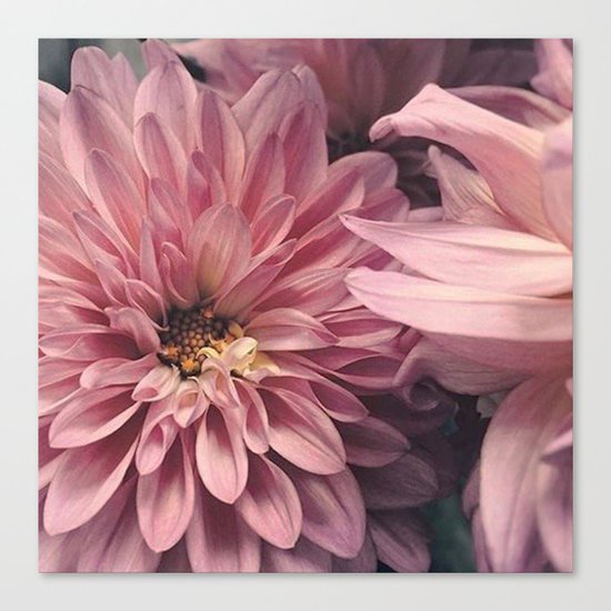 Flower Canvas Print