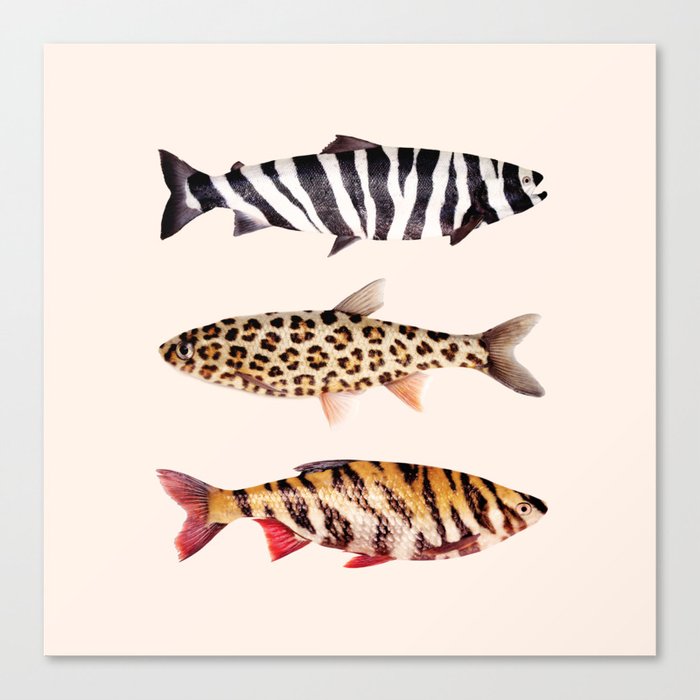 FISH PRINTS Canvas Print