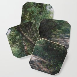 A walk in the woods Coaster