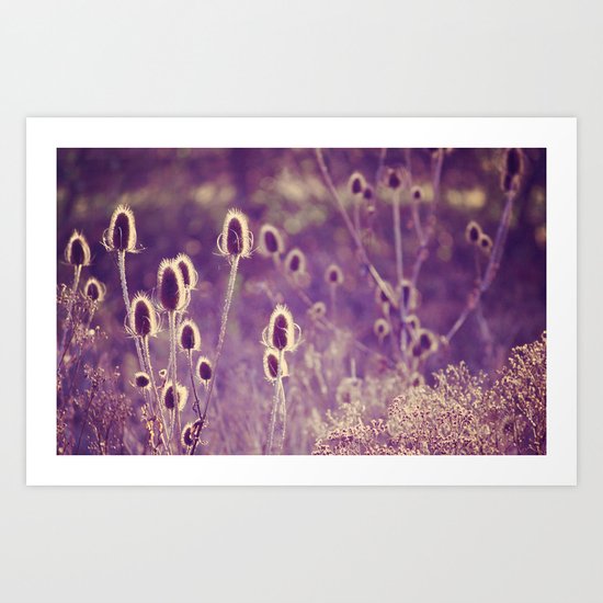 Purple Light Art Print