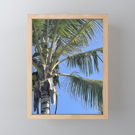 Coconut Tree Framed Mini Art Print