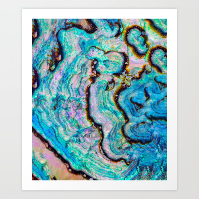 Abstract Paua Abalone Shell Texture Pattern Art Print