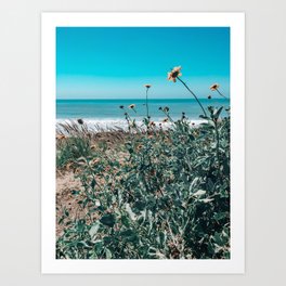 Coastal Cravings Art Print