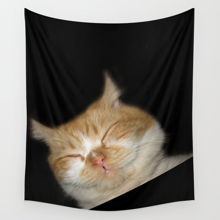 Funny Sleeping Cat Wall Tapestry