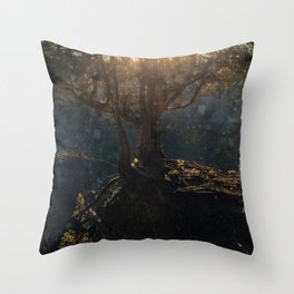 a special kind of night Throw Pillow