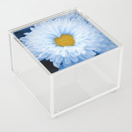 100% Artist Commissions Donated - Floral - Flowers Blue Tinted Chrysanthemums Nature Photo For Ukraine Refugees Acrylic Box