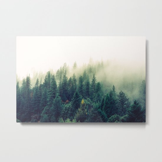 Ascension Metal Print