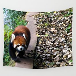 Red Panda in Chengdu Wall Tapestry