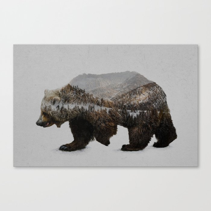 The Kodiak Brown Bear Canvas Print