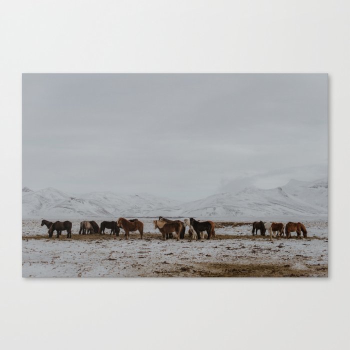 Of horses and mountains Canvas Print
