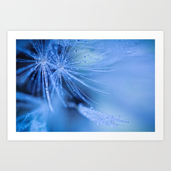 Dandelion fluff Art Print