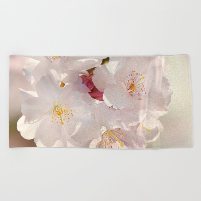 Cherry Blossoms  0210 Beach Towel