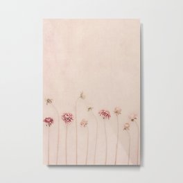 Pastel Flower photography -  Dahlia - Minimal - Elegant - Pink Floral Print Metal Print | Floralprint, Pinkflowers, Wallart, Floralwallart, Pinkflowerprint, Strawflowers, Peachfloralprint, Dahlias, Pastelflowerprint, Minimalflowers 