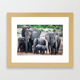 Group of Elephants Framed Art Print