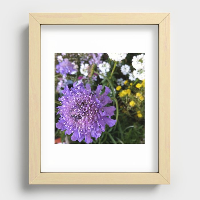 Dainty Recessed Framed Print