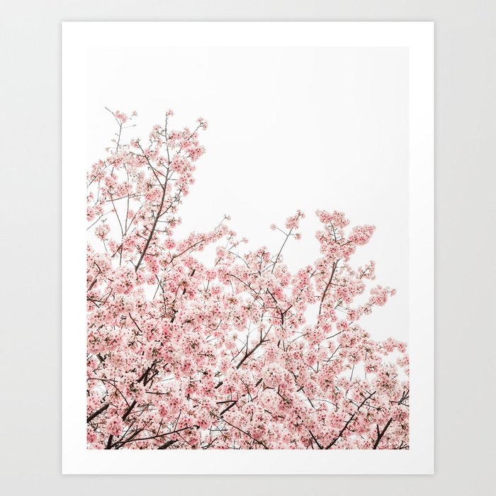 Pastel Pink Spring Flowers Art Print