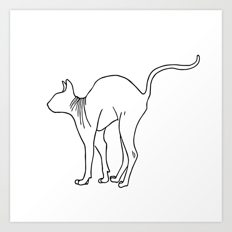 sphynx cat arching its back naked cat simple line minimal art print by ananovakovic