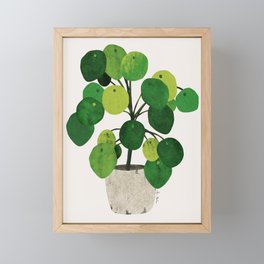 Pilea Peperomioides interior plant Framed Mini Art Print