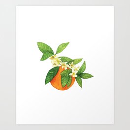 Watercolor Orange Blossom Art Print