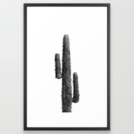 Cactus Black and White 01