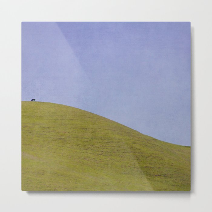 Cow on the Hill Metal Print