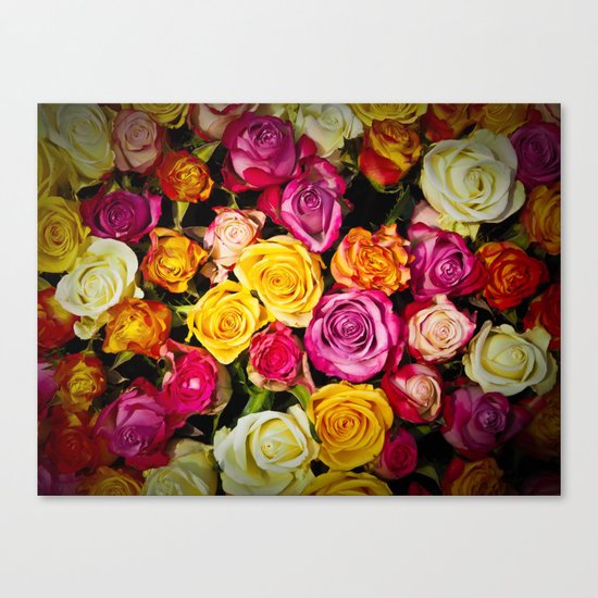 roses Canvas Print
