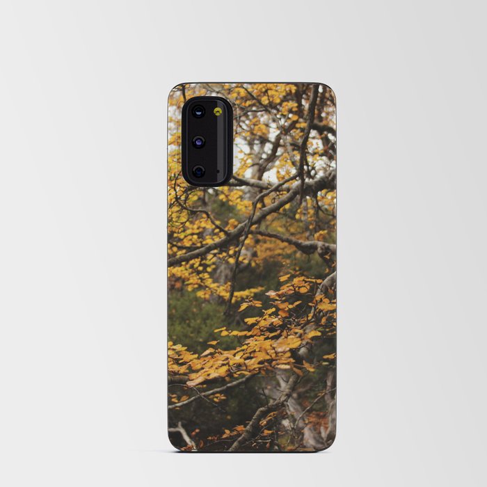 Autumn Leaves Photograph Android Card Case