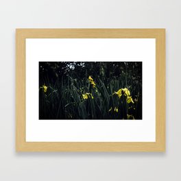 Flower Yellow Framed Art Print