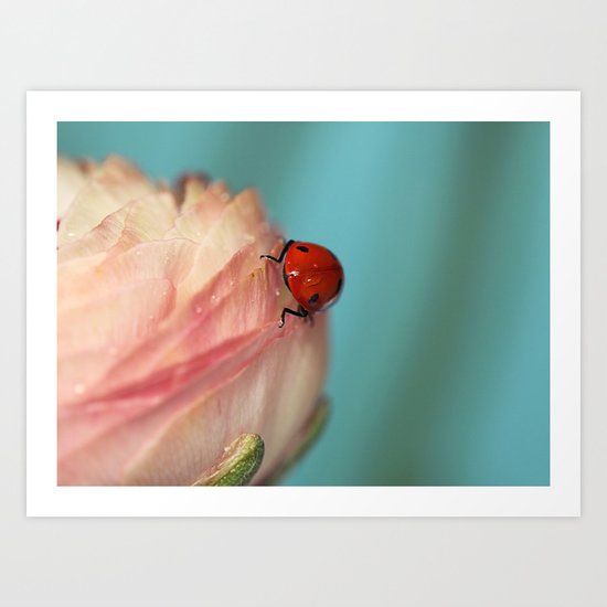 Ladybird Art Print