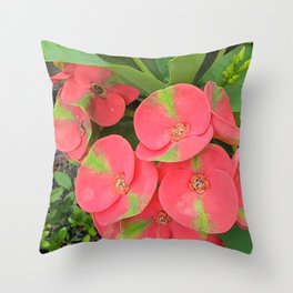 Red and green Crown of thorns plant. Throw Pillow