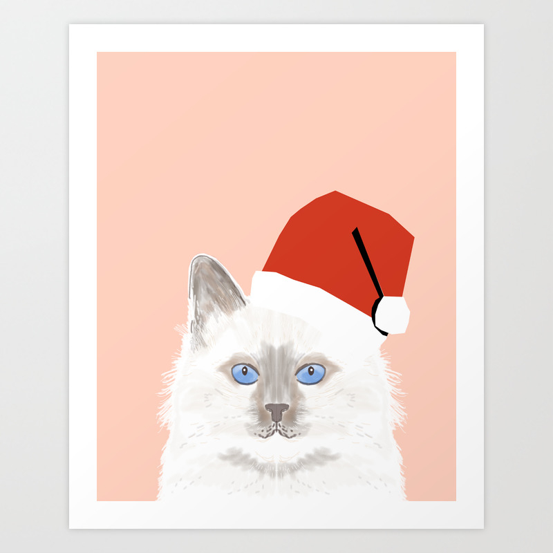 White Birmin Cat In Santa Hat Costume For Cat Cute Kitten Art Cat