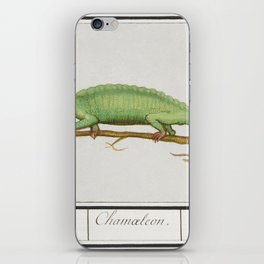 Chameleon, Chamaeleonidae iPhone Skin