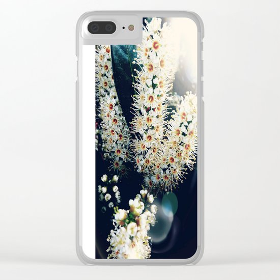 Sunlight On Laurel Blossoms Clear iPhone Case