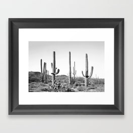 Grey Cactus Land Framed Art Print