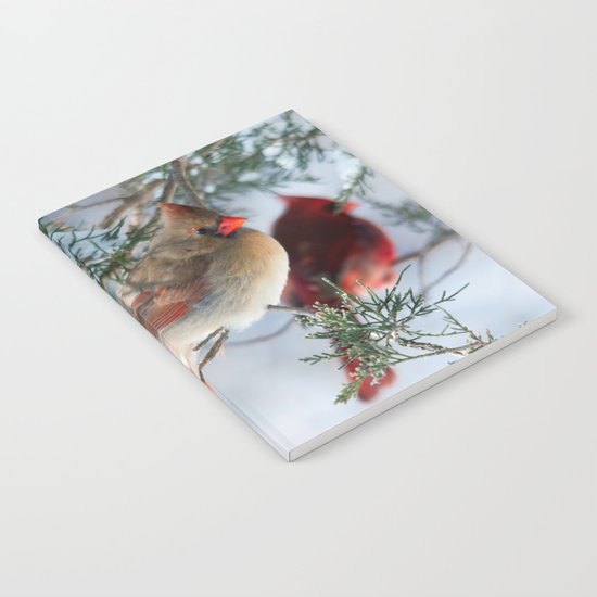 Shining on Her Own (Cardinal) Notebook