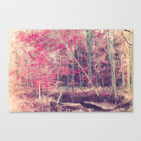 Rasberry Canvas Print