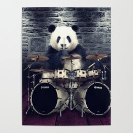 bear drummer Poster