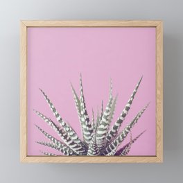succulent vibe Framed Mini Art Print