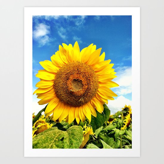 Happy Sunflower Art Print