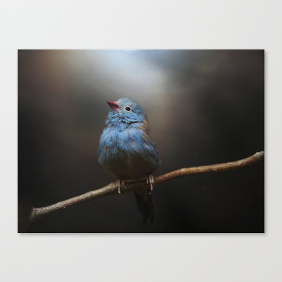 I Believe! Canvas Print