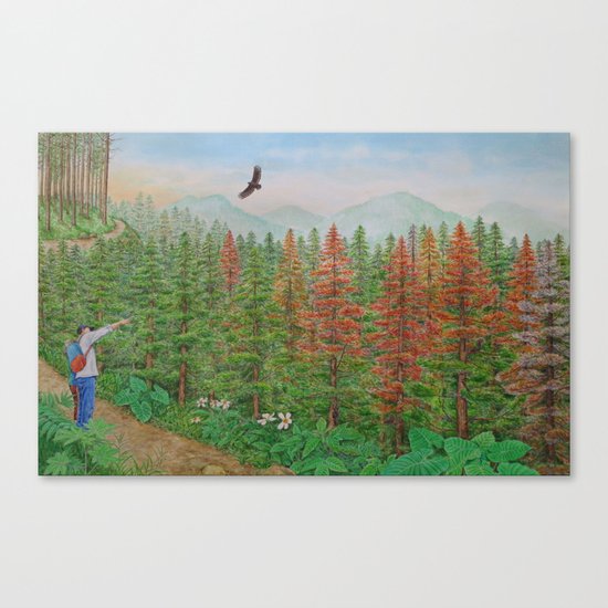 A Day of Forest(8). (coniferous forest) Canvas Print