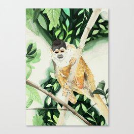 Monkey squirrel Canvas Print