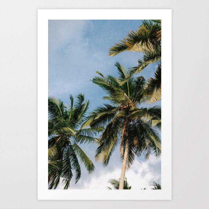 Bali Palm Trees || Indonesia, Art Print, Photography Art Print Art Print