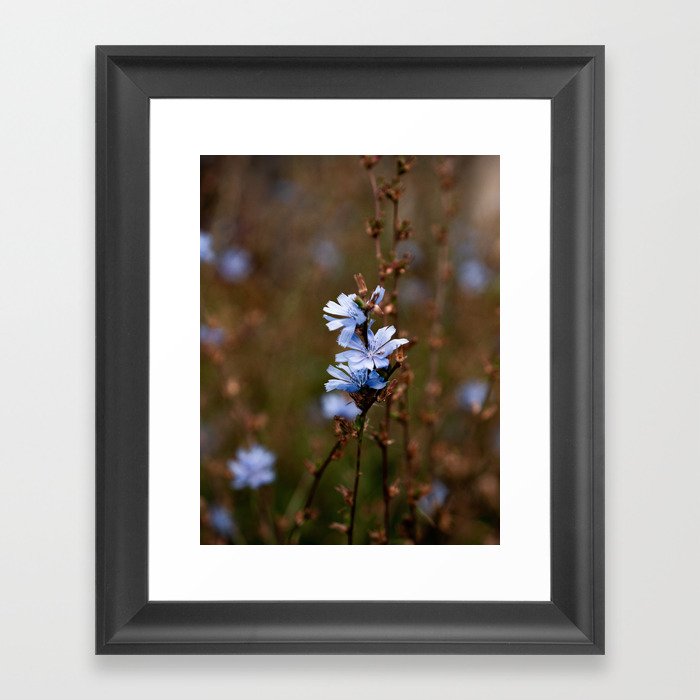 blue wildflowers Framed Art Print