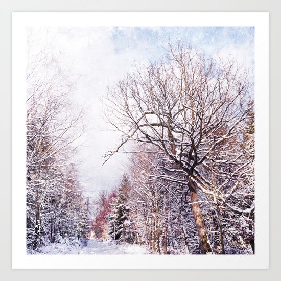 winter trees in sunlight Art Print