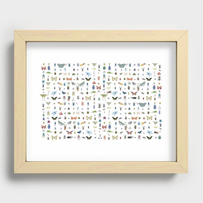 Bugaboo  Recessed Framed Print