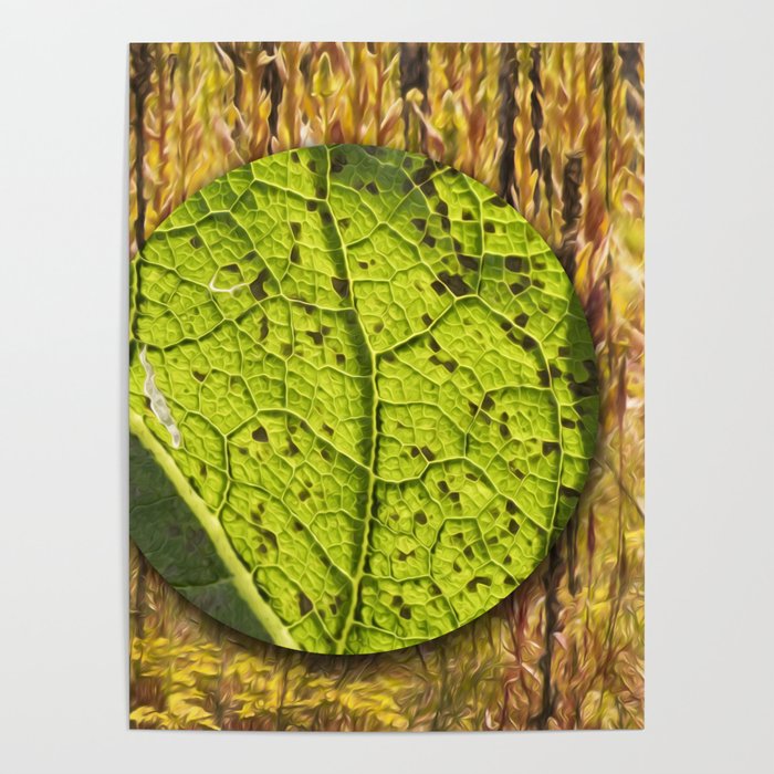 Adrift In The Velvet Leaf Forest Poster