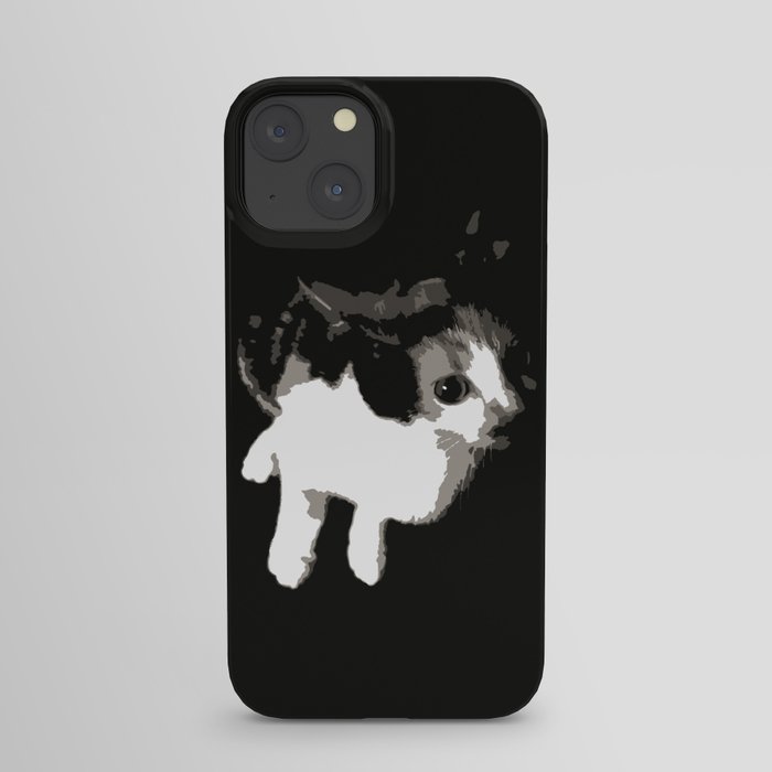 Beware the Demon Cat iPhone Case