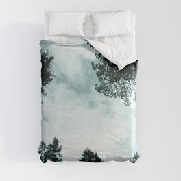 Redwood Forest Adventure - Nature Photography Comforter