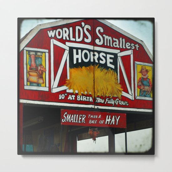 Worlds Smallest Horse Metal Print